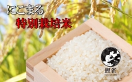 熊本県あさぎり町ミネラル農法【鯉雀米4.5kg】 米  熊本県産 にこまる 白米