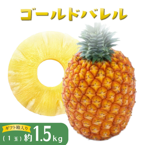 パイナップル ゴールドバレル 1玉 ハウス栽培 ギフト箱入 パイン 果物 フルーツ 沖縄 西表島【TOK:iふぁーむ】配送不可：離島 1246463 - 沖縄県竹富町