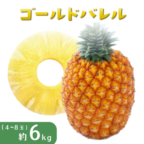 パイナップル ゴールドバレル 約6kg 4～8玉 パイン 果物 フルーツ 沖縄 西表島【TOK:iふぁーむ】配送不可：離島 1246468 - 沖縄県竹富町