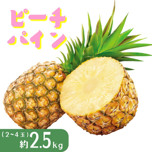 パイナップル ピーチパイン 約2.5kg 2～4玉 パイン 果物 フルーツ 沖縄 西表島【TOK:iふぁーむ】配送不可：離島 1246469 - 沖縄県竹富町