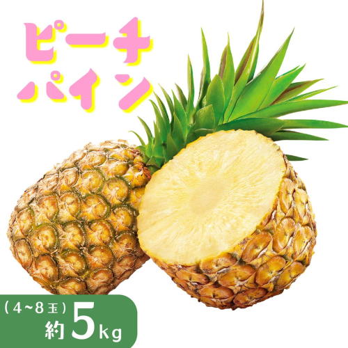 パイナップル ピーチパイン 約5kg 4～8玉 パイン 果物 フルーツ 沖縄 西表島【TOK:iふぁーむ】 配送不可：離島 1246502 - 沖縄県竹富町