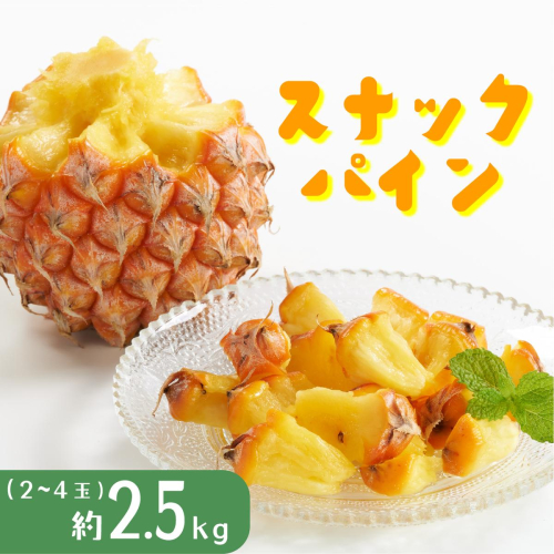 パイナップル スナックパイン 約2.5kg 2～4玉 パイン 果物 フルーツ 沖縄  西表島【TOK:iふぁーむ】配送不可：離島 1246503 - 沖縄県竹富町