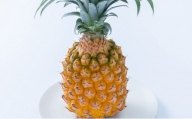 パイナップル スナックパイン 約2.5kg 2～4玉 パイン 果物 フルーツ 沖縄  西表島【TOK:iふぁーむ】配送不可：離島
