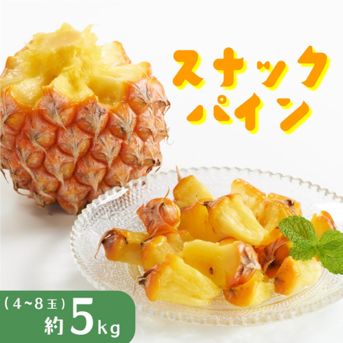 パイナップル スナックパイン 約5kg 4～8玉 パイン 果物 フルーツ 沖縄 西表島【TOK:iふぁーむ】  配送不可：離島 1246504 - 沖縄県竹富町