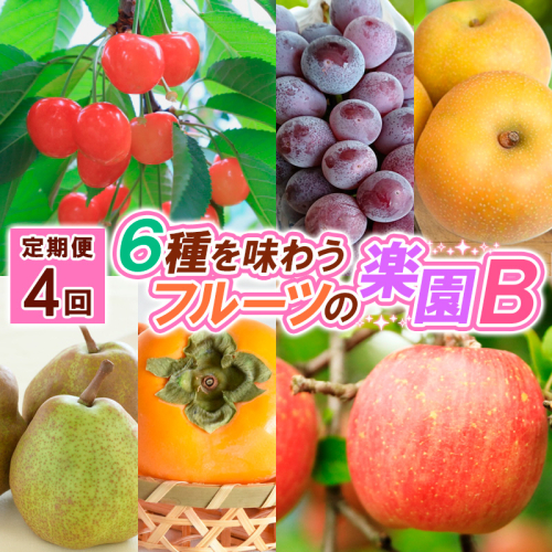 【定期便4回】６種を味わうフルーツの楽園Ｂ【令和8年産先行予約】FS25-622 1246547 - 山形県山形市