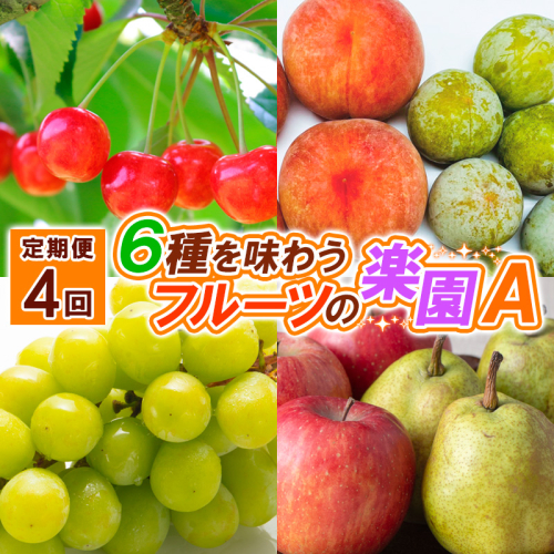 【定期便4回】６種を味わうフルーツの楽園Ａ【令和8年産先行予約】FS25-623 1246580 - 山形県山形市