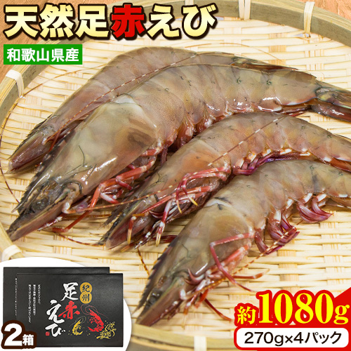 【先行予約】紀州和歌山産天然足赤えび 540g×2箱(270g×4パック) 化粧箱入 魚鶴商店《2025年11月上旬-2月上旬頃出荷》和歌山県 日高町 足赤えび えび エビ 1246601 - 和歌山県日高町