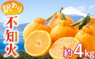 [訳あり] 不知火 4kg 柑橘 みかん