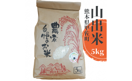 【新米先行受付】甲佐町産　山出米5kg - 令和7年11月以降順次発送 新米 令和7年産 精米 お米 米 しっとり もちもち 甘み おにぎり ごはん 複数原料米 国産 九州産 熊本県 熊本県産 甲佐町【価格改定ZA】 124719 - 熊本県甲佐町