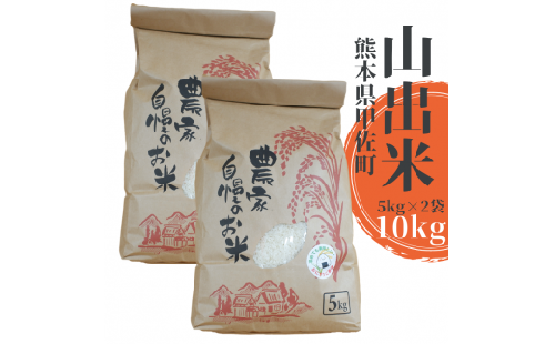 【新米先行受付】甲佐町産　山出米10kg（5kg×2袋） - 令和7年11月以降順次発送 新米 令和7年産 精米 お米 米 しっとり もちもち 甘み おにぎり ごはん 複数原料米 国産 九州産 熊本県 熊本県産 甲佐町【価格改定ZA】 124720 - 熊本県甲佐町