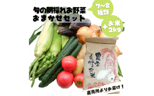 旬のお野菜おまかせセット＆山出米2kg【新米先行受付】 - 令和7年11月以降順次発送 新米 令和7年産 新鮮 野菜 旬 朝採れ 季節 精米 お米 米 しっとり もちもち 甘み おにぎり ごはん 複数原料米 セット 詰め合わせ おまかせ 国産 九州産 熊本県 熊本県産 甲佐町【価格改定ZB】 124722 - 熊本県甲佐町