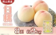 岡山県産 白桃8玉（約2.0kg）