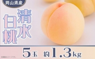 岡山県産 清水白桃5玉（約1.3kg）