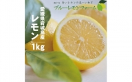 愛媛　ブルーレモンファームのレモン　約1kg　＜2024年4月～順次発送＞【1489653】