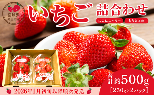 【先行予約】【JAみやぎ仙南】宮城県角田市産いちご　にこにこベリー・とちおとめ詰合せ　合計約500g（250g×2パック） 1247750 - 宮城県角田市