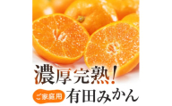 有田育ちのご家庭用完熟 有田みかん 7kg ※11月上旬～11月下旬頃より順次発送