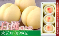 岡山の白桃（晩生種） 大玉3玉（約900g）