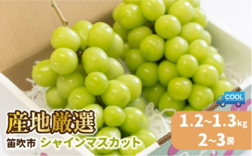 【2026年発送★先行予約】【土日祝配送】産地厳選シャインマスカット1.2kg～1.3kg（2房～3房）※沖縄・離島配送不可※ 106-003-sku02-26y｜シャインマスカット 発送  笛吹市 山梨県 フルーツ 果物 ぶどう 葡萄 大粒 シャインマスカット おすすめ シャインマスカット 贈答 ギフト 産地 笛吹市 シャインマスカット 笛吹 葡萄 国産 ぶどう 人気 国産 1.2kg 先行｜