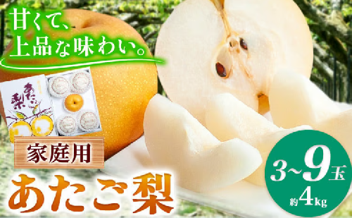 あたご梨 3～9玉 家庭用 4kg 箱 石原果樹園 《11月下旬-12月下旬頃より発送予定》岡山県 浅口市 梨 なし 果物 フルーツ くだもの あたご 1248091 - 岡山県浅口市