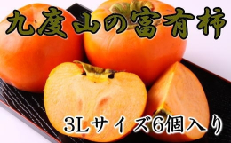 富有柿は、柿の王様と呼ばれ、たっぷりの果肉と甘い果汁が絶品ですが、全国でも有数の富有柿の産地である和歌山県の九度山町で栽培された富有柿はブランド柿として、市場でも高い評価を受けます。 それは、昼夜の寒