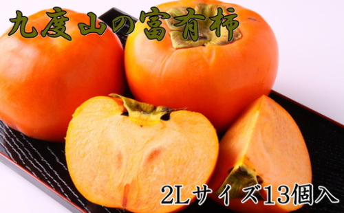 ≪厳選・産直≫九度山町の富有柿2Lサイズ13個入り 1248097 - 和歌山県美浜町