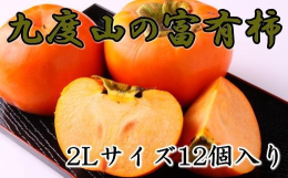 富有柿は、柿の王様と呼ばれ、たっぷりの果肉と甘い果汁が絶品ですが、全国でも有数の富有柿の産地である和歌山県の九度山町で栽培された富有柿はブランド柿として、市場でも高い評価を受けます。 それは、昼夜の寒