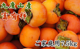 富有柿は、柿の王様と呼ばれ、たっぷりの果肉と甘い果汁が絶品ですが、全国でも有数の富有柿の産地である和歌山県の九度山町で栽培された富有柿はブランド柿として、市場でも高い評価を受けます。 それは、昼夜の寒