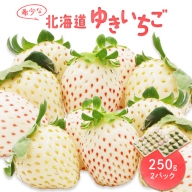 【北海道産】ゆきいちご（白いちご）ゆきぼたん 2Pセット 250g×2　計500g【59001】