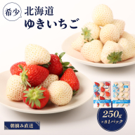 【12月以降、随時発送！】【北海道産】ゆきいちご（ゆきぼたん/すず）白×MIX 2Pセット 各250g×2 計500g 苺 白いちご 一季成りイチゴ 希少 ギフト お取り寄せ ふるさと納税 北海道 中標津町【5900201】
