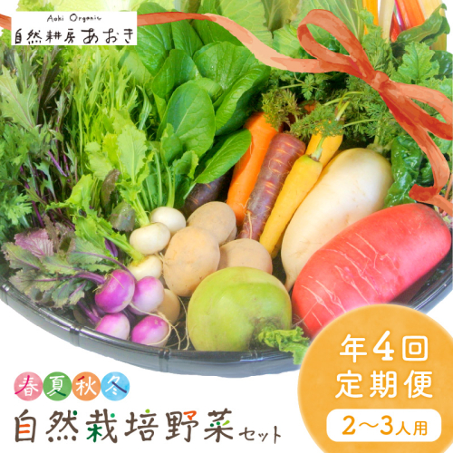 【年4回定期便】春夏秋冬自然栽培野菜セット(年4回)2～3人用 1248217 - 京都府京丹後市