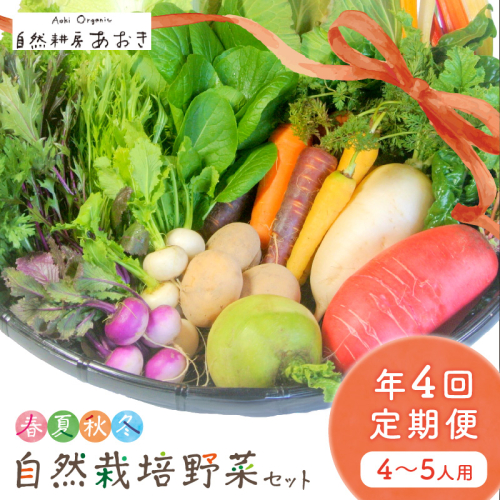 【年4回定期便】春夏秋冬自然栽培野菜セット(年4回)4～5人用 1248218 - 京都府京丹後市