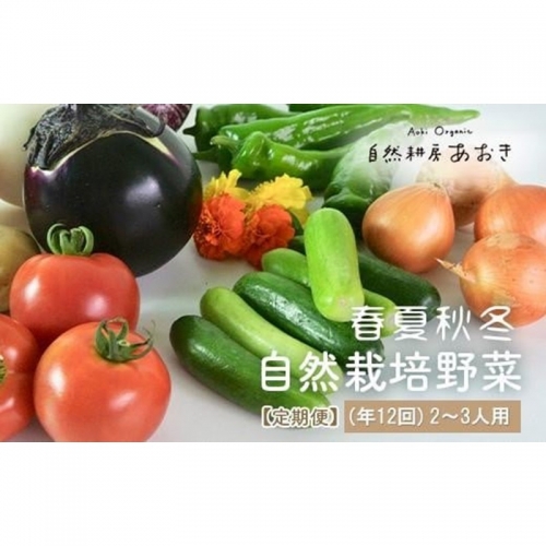 自然栽培野菜セット（年12回）2～3人用　定期便　月1回×12ヵ月 1248222 - 京都府京丹後市