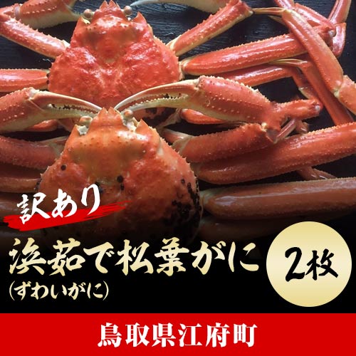 ミ(訳あり)ミ 蒸し松葉がに(ずわいがに) 2枚 冷蔵発送 カニ 境港 山芳海産 0501 124841 - 鳥取県江府町