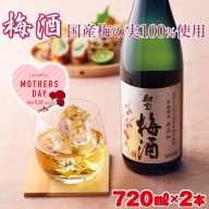 W-22186／【母の日企画】濃厚な味わい！梅酒2本