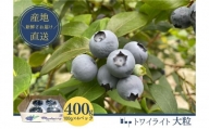 [№5904-0532]【栽培期間中農薬不使用】フレッシュブルーベリー（トワイライト大粒　100g×4）