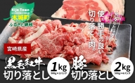 牛肉＆豚肉切り落としセット【合計3kg】 K16_0057