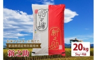 お米マイスターが育てた新潟県認証特別栽培米「新之助」上越頸城産令和5年産 20kg(5kg×4)精米