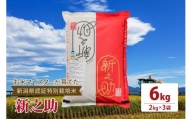 令和5年産お米マイスターが育てた新潟県認証特別栽培米「新之助」上越頸城産 6kg(2kg×3)精米
