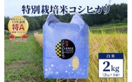 【50セット限定】令和5年産 新潟上越清里産 特別栽培米コシヒカリ2kg(2kg×1袋)白米
