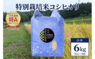 【50セット限定】令和5年産 新潟上越清里産 特別栽培米コシヒカリ6kg(2kg×3袋)白米