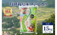 【50セット限定】令和5年産 新潟上越清里産 特別栽培米コシヒカリ15kg(5kg×3袋)白米