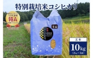 【50セット限定】令和5年産 新潟上越清里産 特別栽培米コシヒカリ10kg(2kg×5袋)玄米