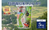 【50セット限定】令和5年産 新潟上越清里産 特別栽培米コシヒカリ5kg(5kg×1袋)玄米