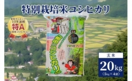 【20セット限定】令和5年産 新潟上越清里産 特別栽培米コシヒカリ20kg(5kgx4袋) 玄米