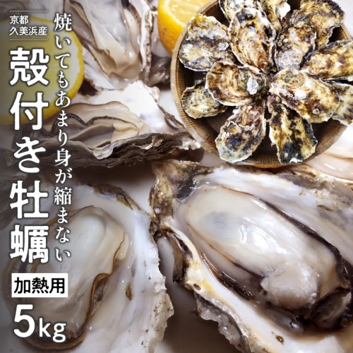 京都・久美浜産　殻付き牡蠣　5kg（50個前後）【加熱用】牡蠣ナイフ付 1250046 - 京都府京丹後市