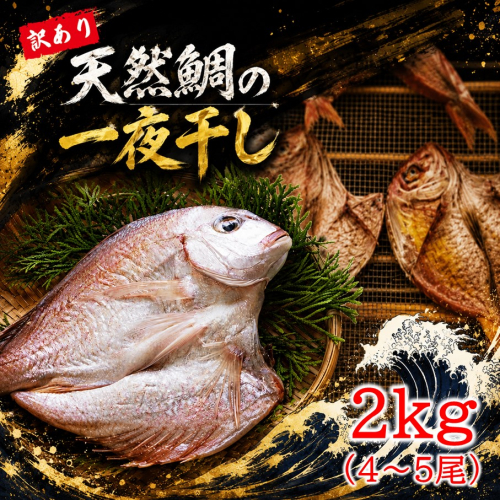 天然鯛の一夜干し 訳あり 2.0kg（４尾〜５尾） 干物 タイ おかず つまみ_1613R 125007 - 大分県国東市