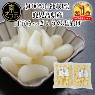 【鹿児島県産】白宝らっきょうの塩漬け 900g×2P