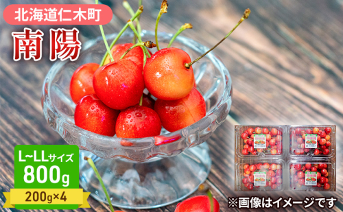 先行受付 さくらんぼ 南陽 800g（200g×4）L-LLサイズ混合  サクランボ チェリー フルーツ 果物 果物類  北海道 仁木町 仁木 [大塚農園] 125021 - 北海道仁木町