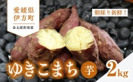【先行予約】新品種ゆきこまち　生芋（2kg）生芋 サツマイモ さつまいも いも　※2024年11月～2025年1月頃に順次発送予定