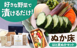 水抜きの手間がいらないSUGIDOCOの適量に合わせた、専用のぬか床の素がセットになりました。栄養価がとても高く、美肌にも良いといわれるはと麦の種皮・胚芽などの部分を使った「はと麦のぬか」にこだわりの